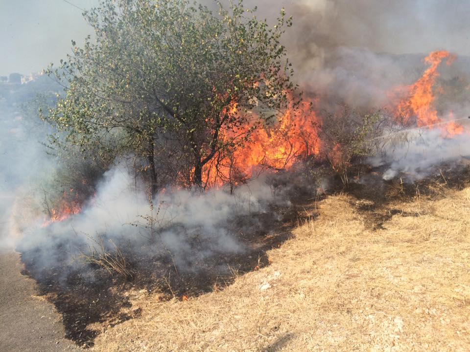 Guidonia, l’appello della protezione civile: “Serve subito ordinanza anti incendi”. Solo ieri due roghi