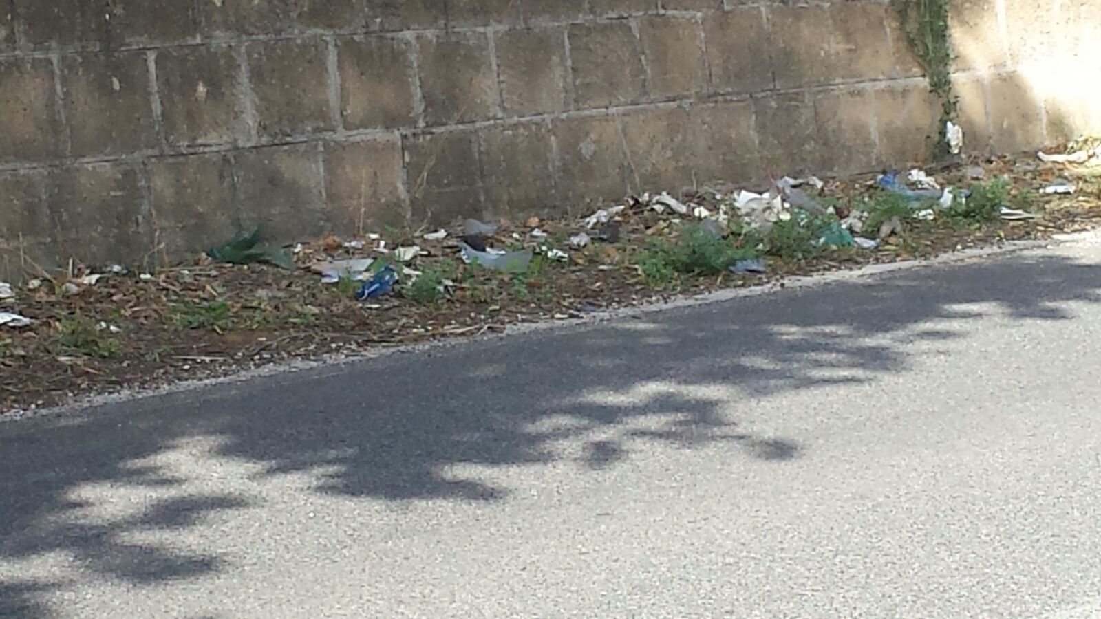 Guidonia, strade sporche e niente pulizia dei parchi: De Dominicis scrive al sindaco