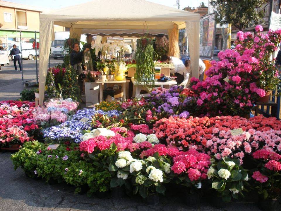 Fonte Nuova, “Tor Lupara in fiore” alla 24esima edizione: domenica dalle 9 fino al tramonto