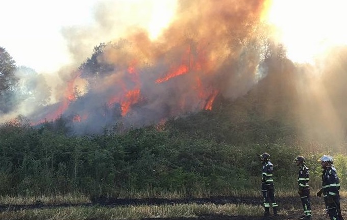 Guidonia, doppio incendio a Colleverde: dieci ettari in fumo tra Nomentana bis e Poggio Fiorito