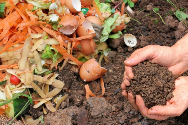 Fonte Nuova, sì al piano “compostaggio di comunità” per ridurre produzione di rifiuti organici