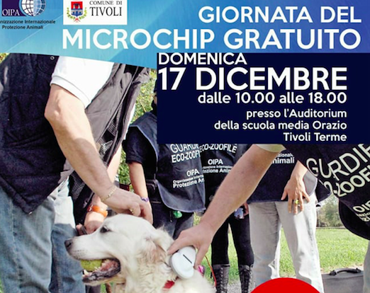 Tivoli Terme, microchip gratuito domenica 17: giornata contro il randagismo