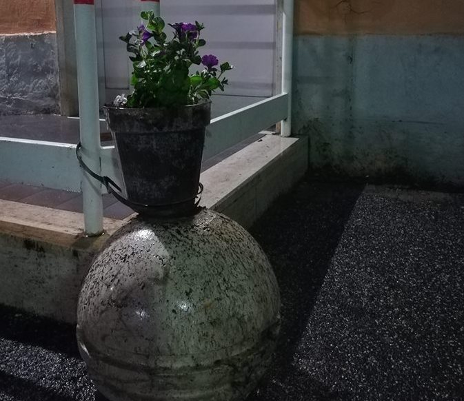 Guidonia, nasce Guerrilla gardening: prima azione alla stazione. Giardinaggio di protesta pacifica