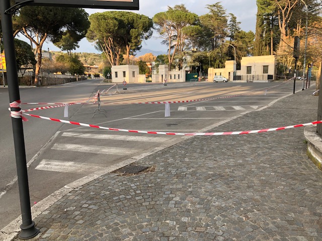 Crollo pini, Guglielmo: “Chiudere il tratto via Roma e tagliare gli alberi pericolosi. Barbet agisca”