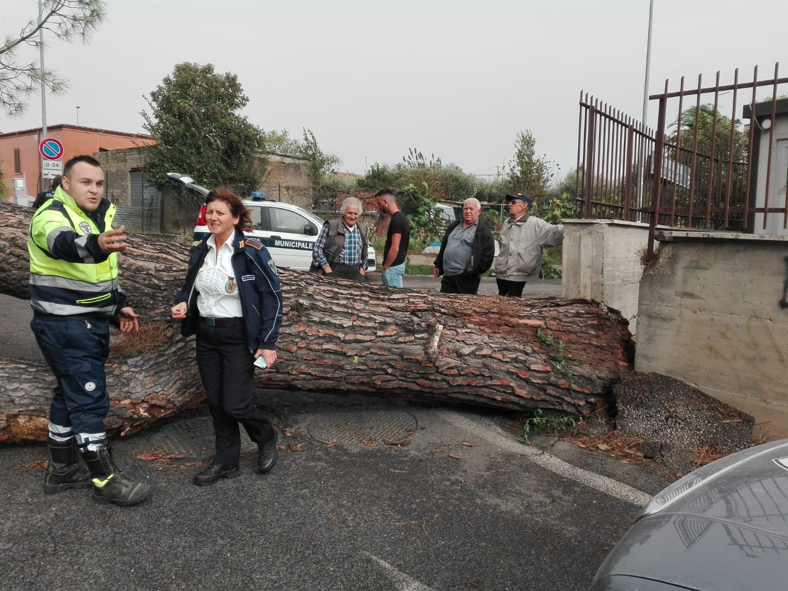 Guidonia, il Pd: “Chiarezza sugli alberi caduti, il Comune improvvisa. Rendano note le verifiche”