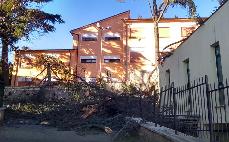 San Polo sferzata dalle raffiche: caduti alberi vicino la scuola e auto danneggiate