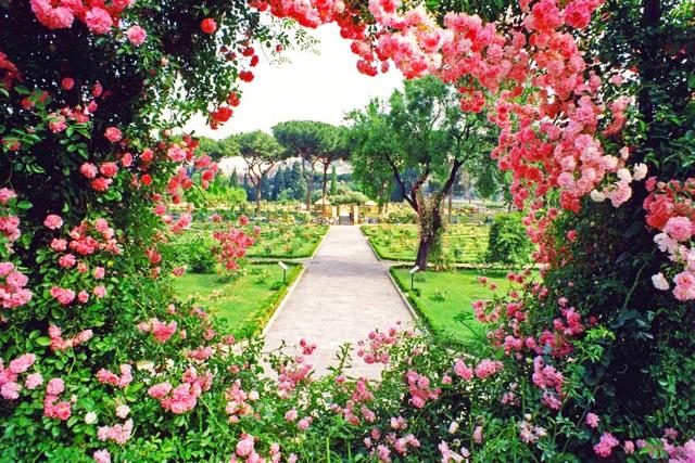 Apre il roseto di Roma, fiori da tutto il mondo