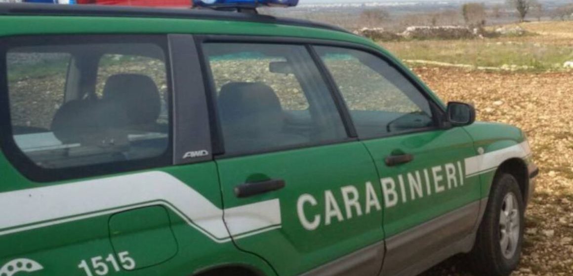 Guidonia, bruciano scarti del vivaio: due denunciati