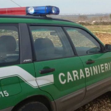 Valle Aniene, si perde durante passeggiata con cane: 50enne in salvo dopo battuta carabinieri