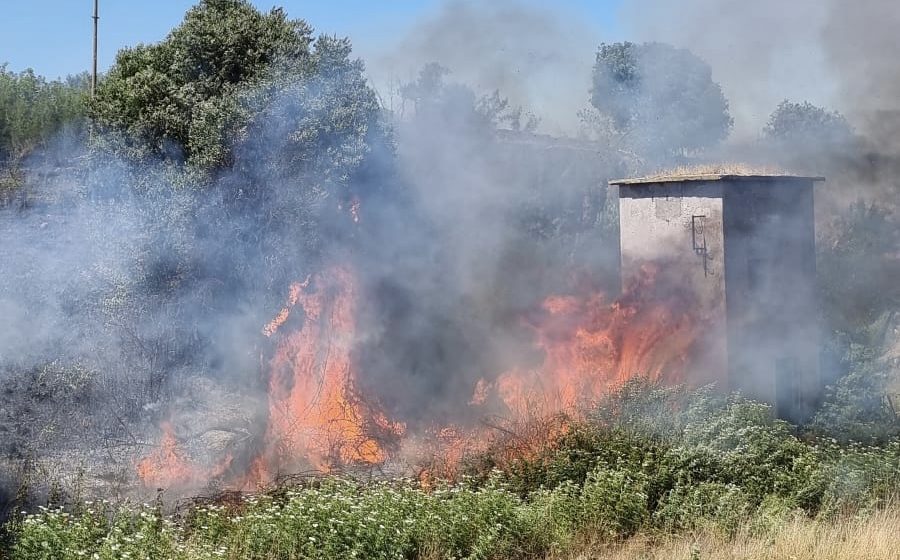 Settecamini, grande incendio a ridosso dell’A24: cinque ettari in fumo