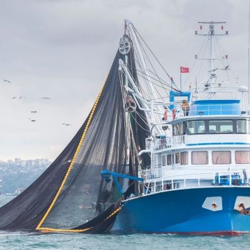 Pesca, Coldiretti Lazio: a rischio 4 barche su 10 e i tesori agroalimentari del nostro territorio