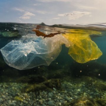 Lazio, raccolti 25mila chili di rifiuti in mare